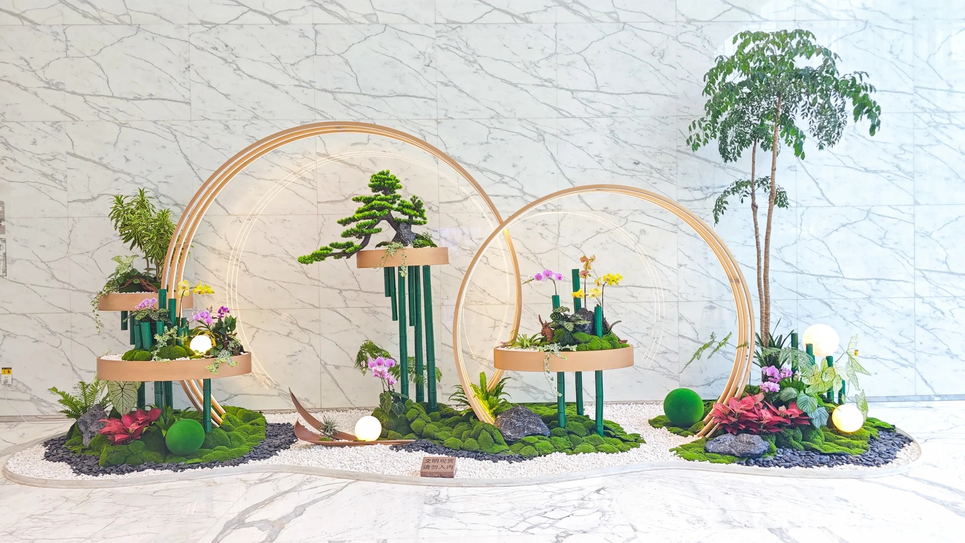 余姚植物出租,打造别具一格的绿色办公环境